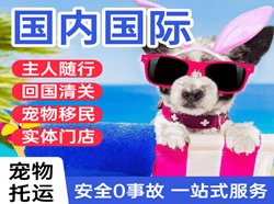 静巴机场快递国际宠物托运 【国